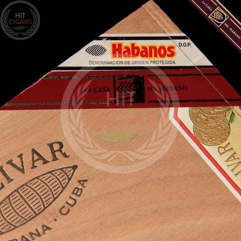 Bolivar Libertador (LCDH)