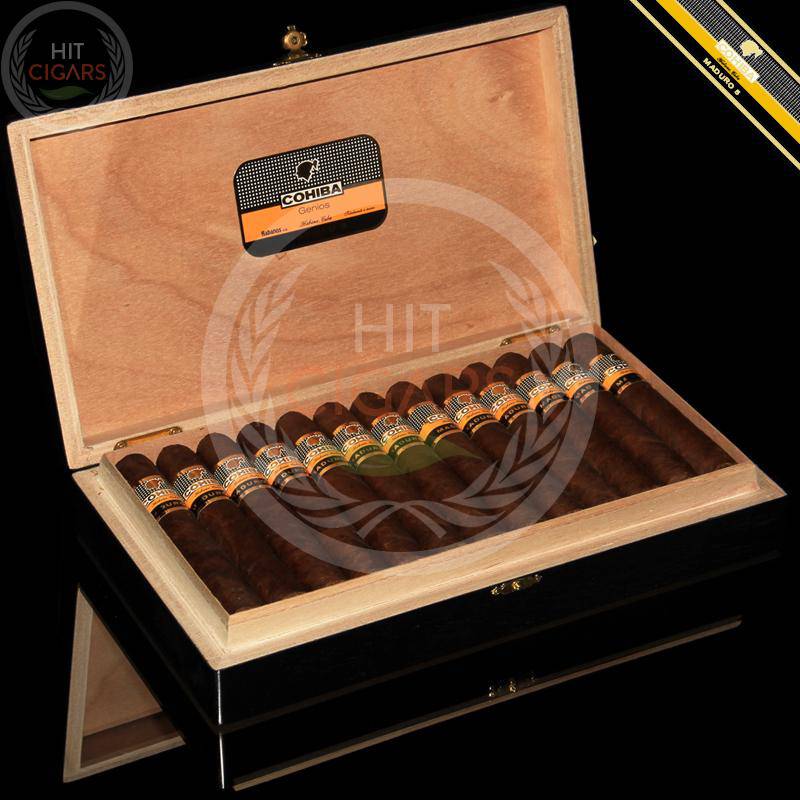 Cohiba Maduro 5 Genios