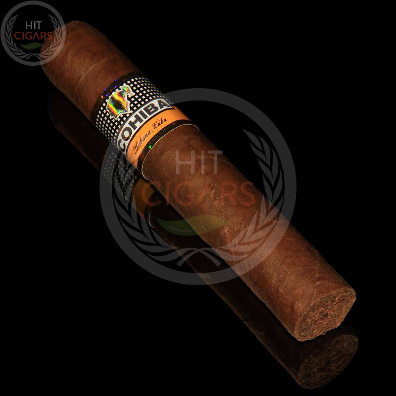 Cohiba Robustos