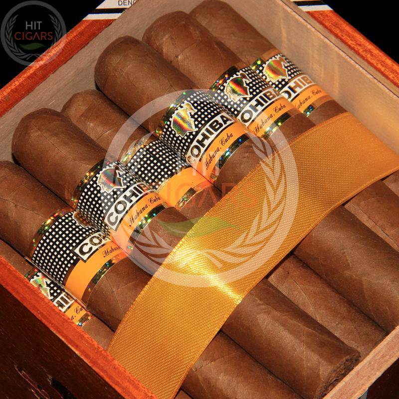 Cohiba Robustos
