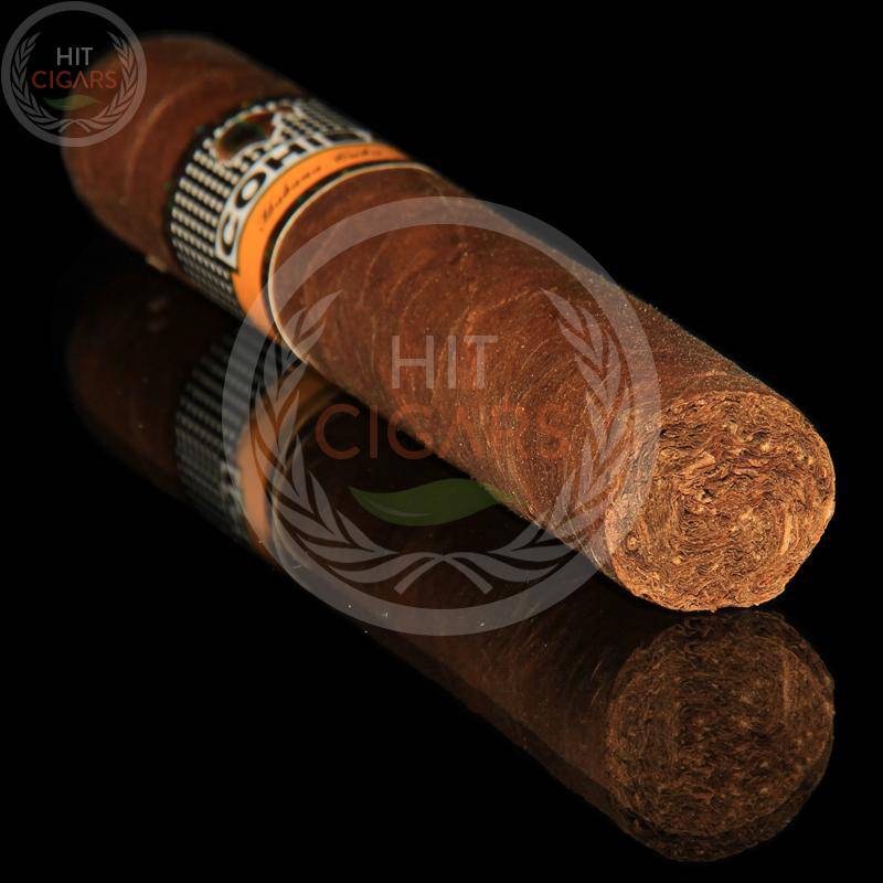 Cohiba Robustos