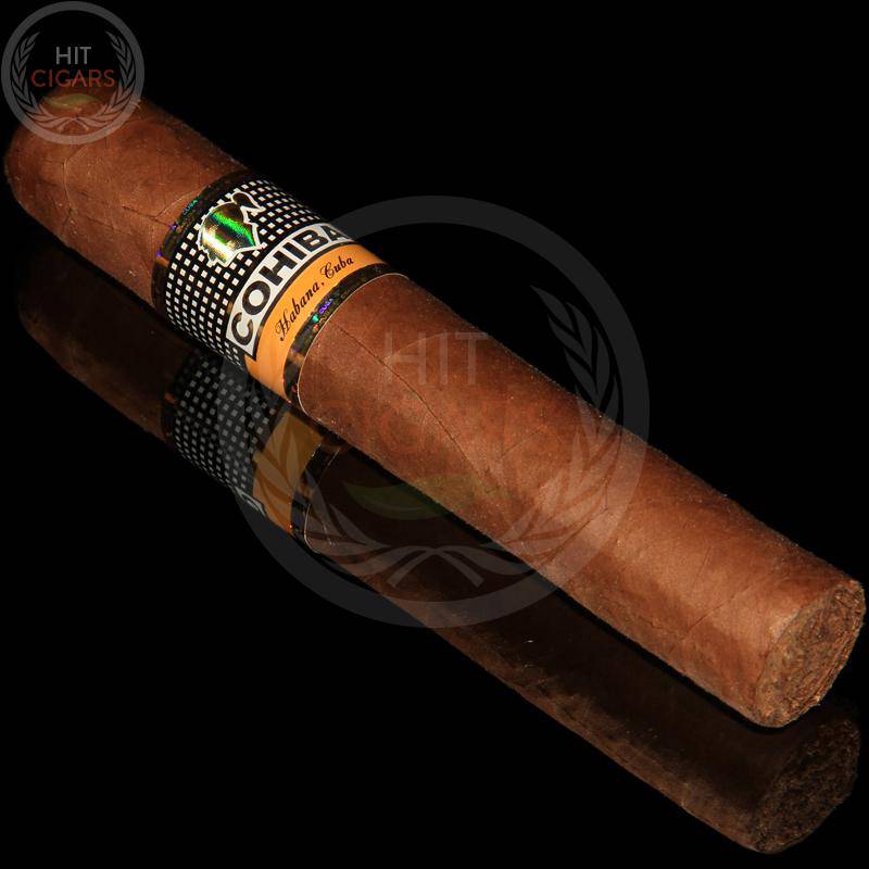 Cohiba Robustos Tubos (5x3 Packs)