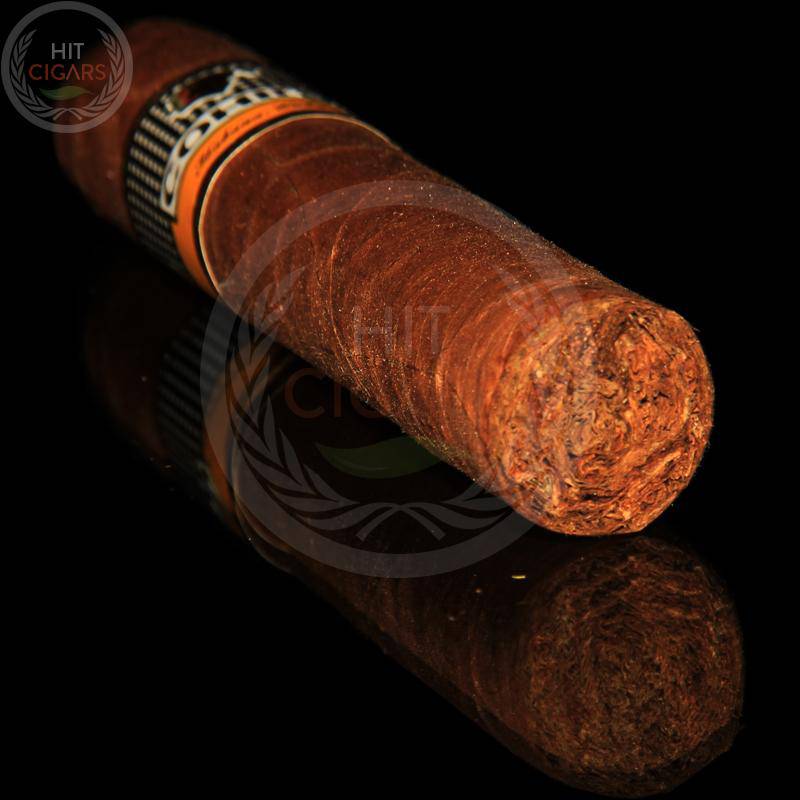 Cohiba Robustos Tubos (5x3 Packs)