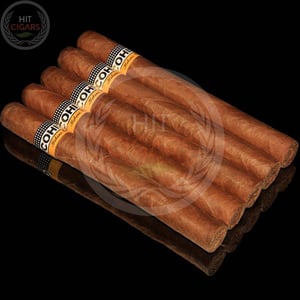 Cohiba Siglo III (5x5 Packs) 5 Cohiba Siglo III (5x5 Packs)