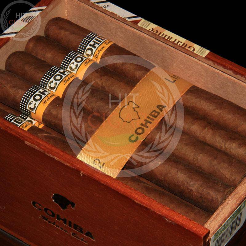 cohiba-siglo-iii-cabinet-of-25-cigars-1 Cohiba Siglo III
