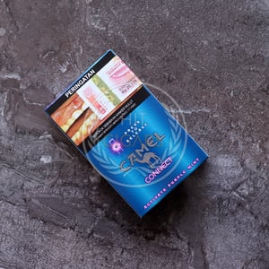 Camel Connect Activate Purple Mint