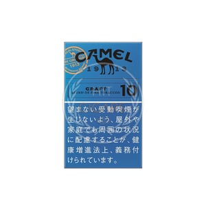 Camel Craft 10