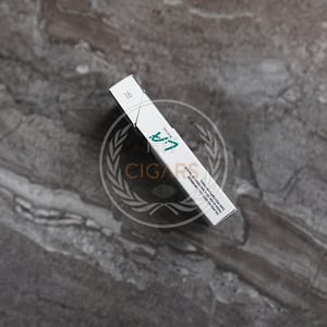 Djarum LA Menthol