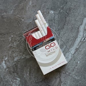 Gudang Garam Mild