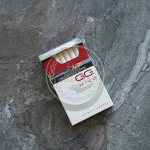 Gudang Garam Mild