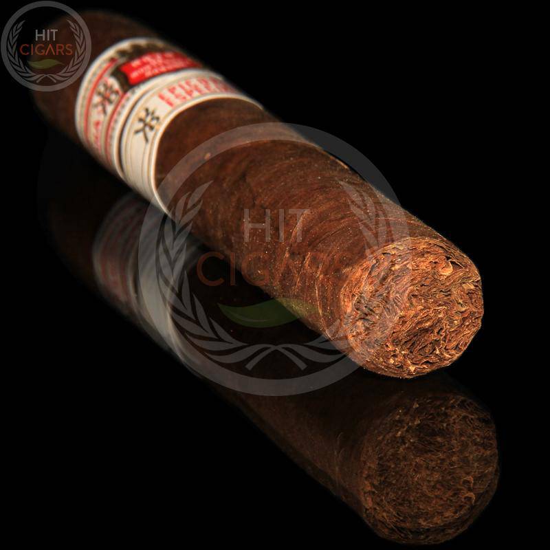 Hoyo De Monterrey Epicure Especial (Cab of 10)
