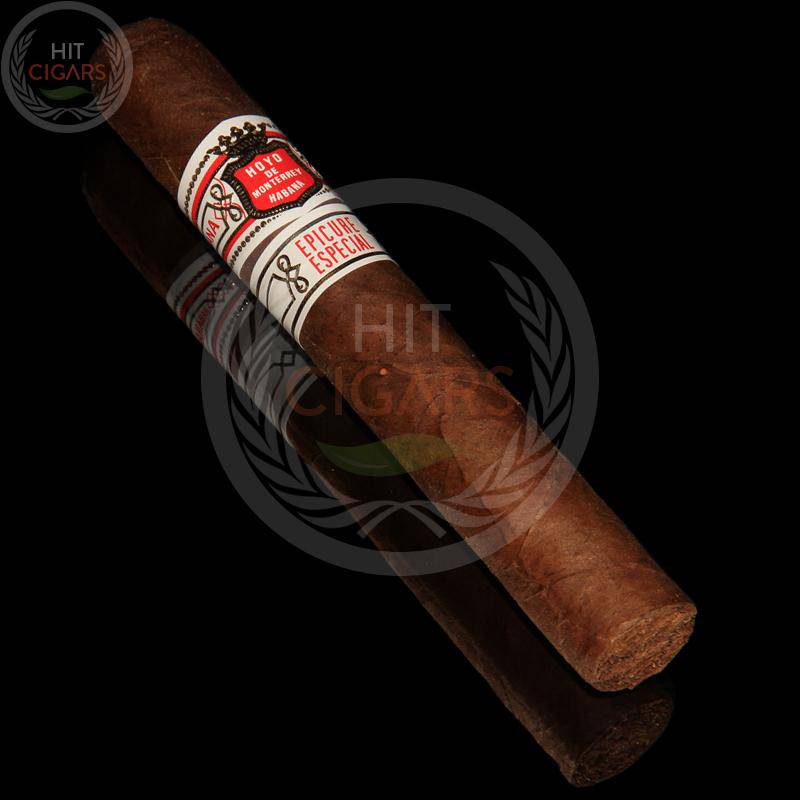 Hoyo De Monterrey Epicure Especial (Cab of 10)