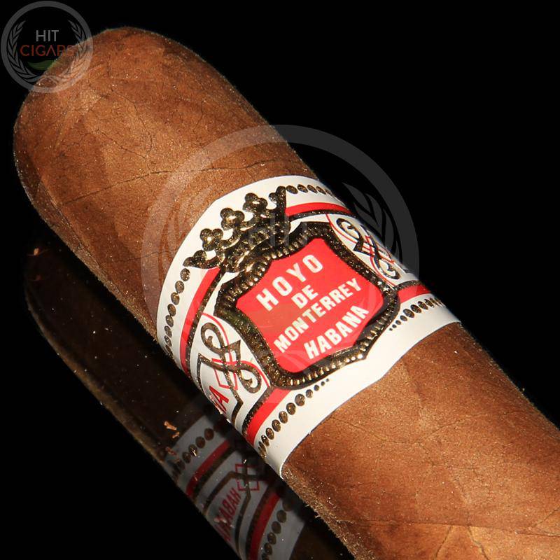 Hoyo De Monterrey Petit Robustos