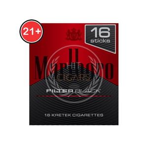 Marlboro Filter Black 16's
