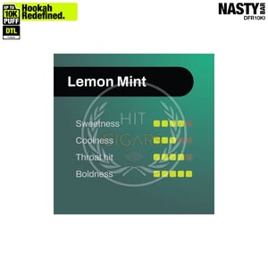 NASTY Hooqa DFR10Ki Shisha Lemon Mint 2 NASTY Hooqa DFR10Ki Shisha Lemon Mint