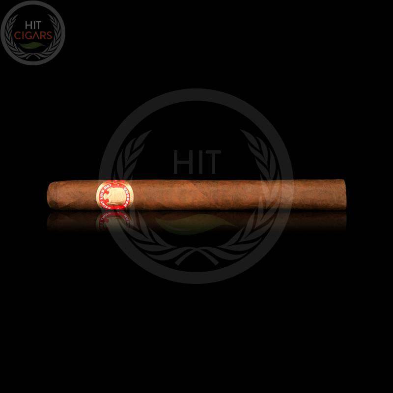 Saint Luis Rey Churchills