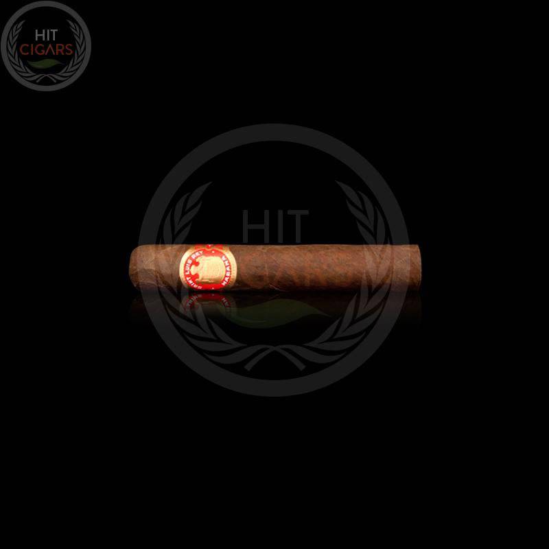Saint Luis Rey Regios