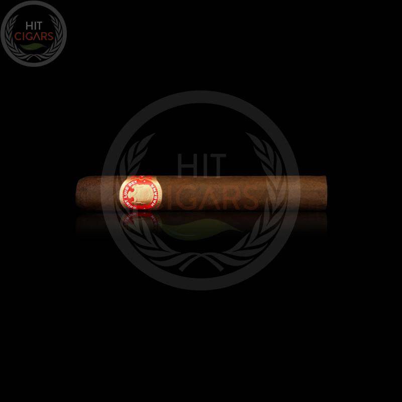 Saint Luis Rey Serie A (Cab of 50)