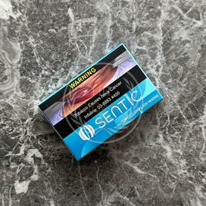 Sentic Mistral