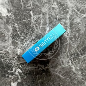 Sentic Mistral