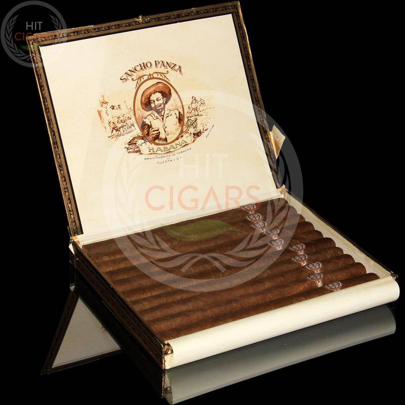 Sancho Panza Sanchos (Aged)
