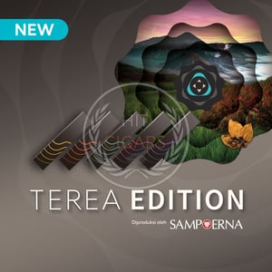 Terea Mulint Edition