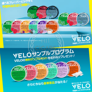 VELO Blushy Berry Very X Intense