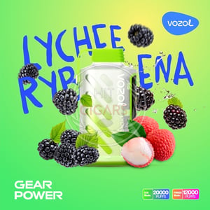 Vozol Gear Power 20000 Lychee Rybena