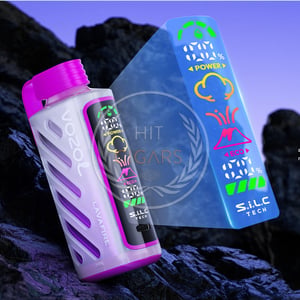 Vozol Gear Power 20000 Mixed Berries