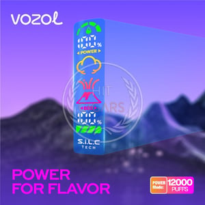 Vozol Gear Power 20000 Mixed Berries