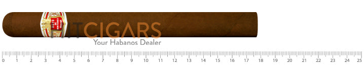 Hoyo De Monterrey Churchills 2 Hoyo De Monterrey Churchills