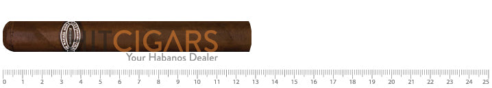 Rafael Gonzalez Petit Coronas