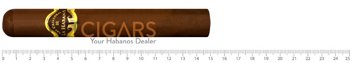 San Cristobal Torreon Jar 2012 (LCDH) 2 San Cristobal De La Habana Torreon Jar 2012 (LCDH)